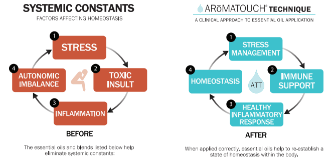 Aromatouch techniques