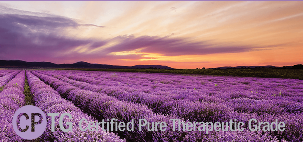 doTerra lavender essential oils